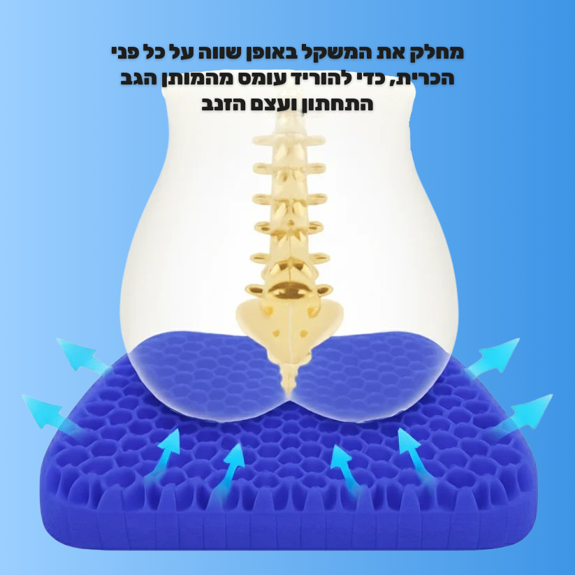 כרית הג'ל - להקלה מיידית בכאבי גב וסיאטיקה